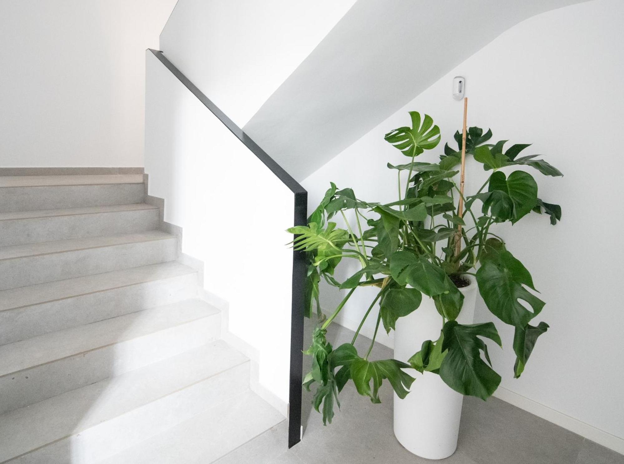 Apartamento Valencia Malvarrosa Экстерьер фото